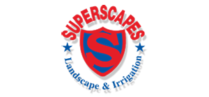 m3 networks IT services partner logo superscape